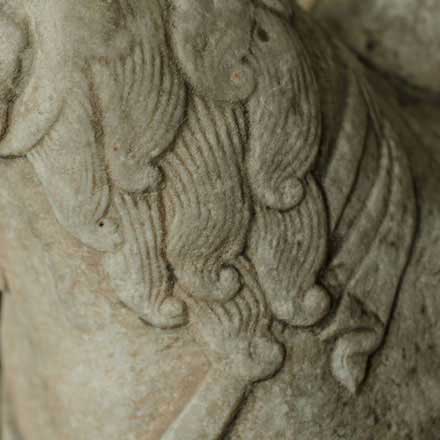 Lion, detail
